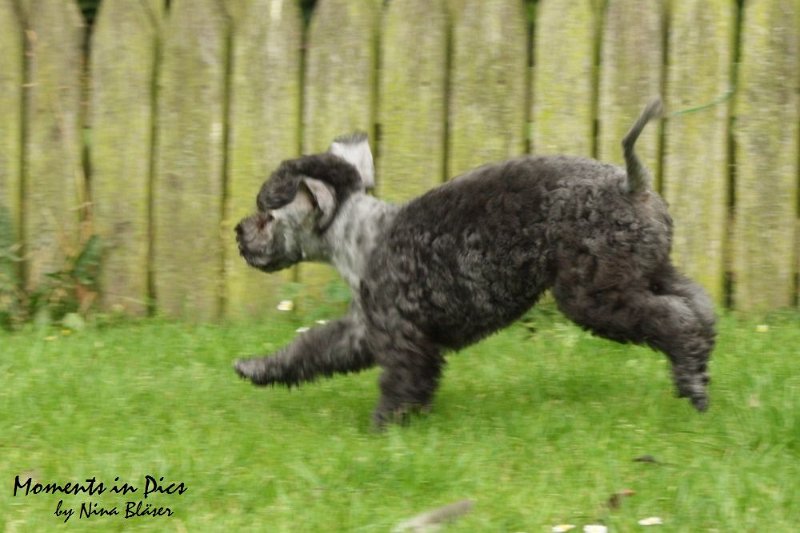 Antares 2009-07-12 (27).JPG